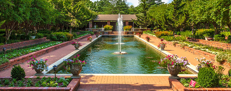 Clark Gardens Botanical Park