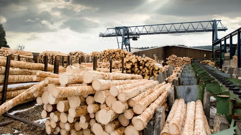 木材价格上涨