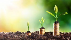 grow business grow business