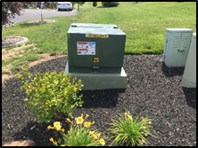 transformer on concrete pad in flower garden