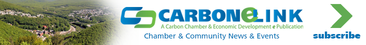 Carbon eLink Newsletter subcribe banner