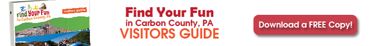 Find Your Fun Visitors Guide Download