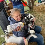 oktoberfest 22 woman feeding a goat with bottle among other goats