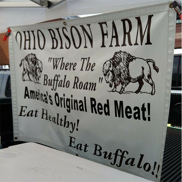 ohio_bison ohio_bison