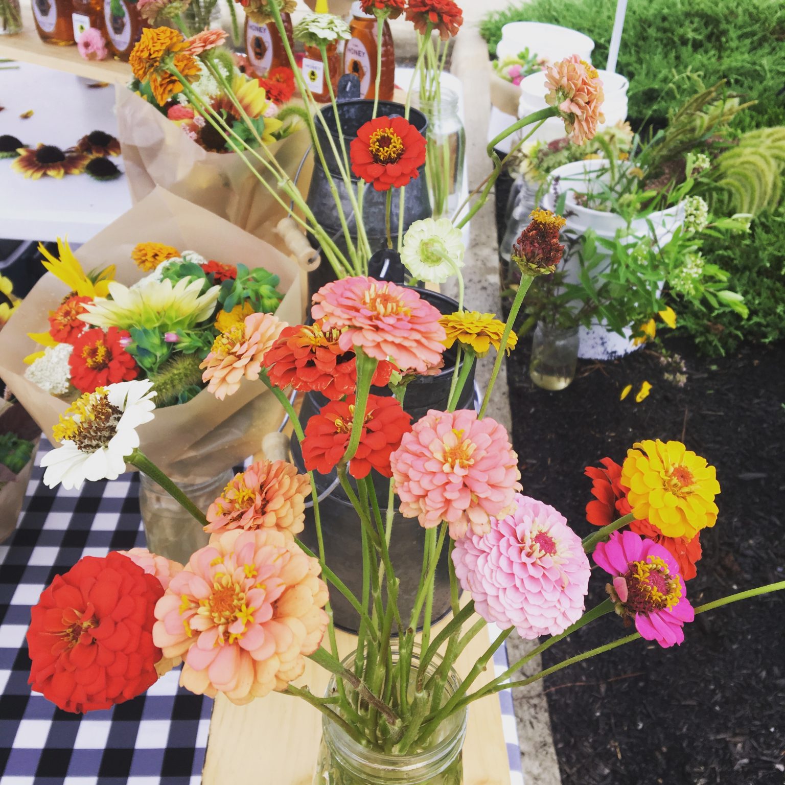 Farmers Market Grove City Area Chamber of Commerce