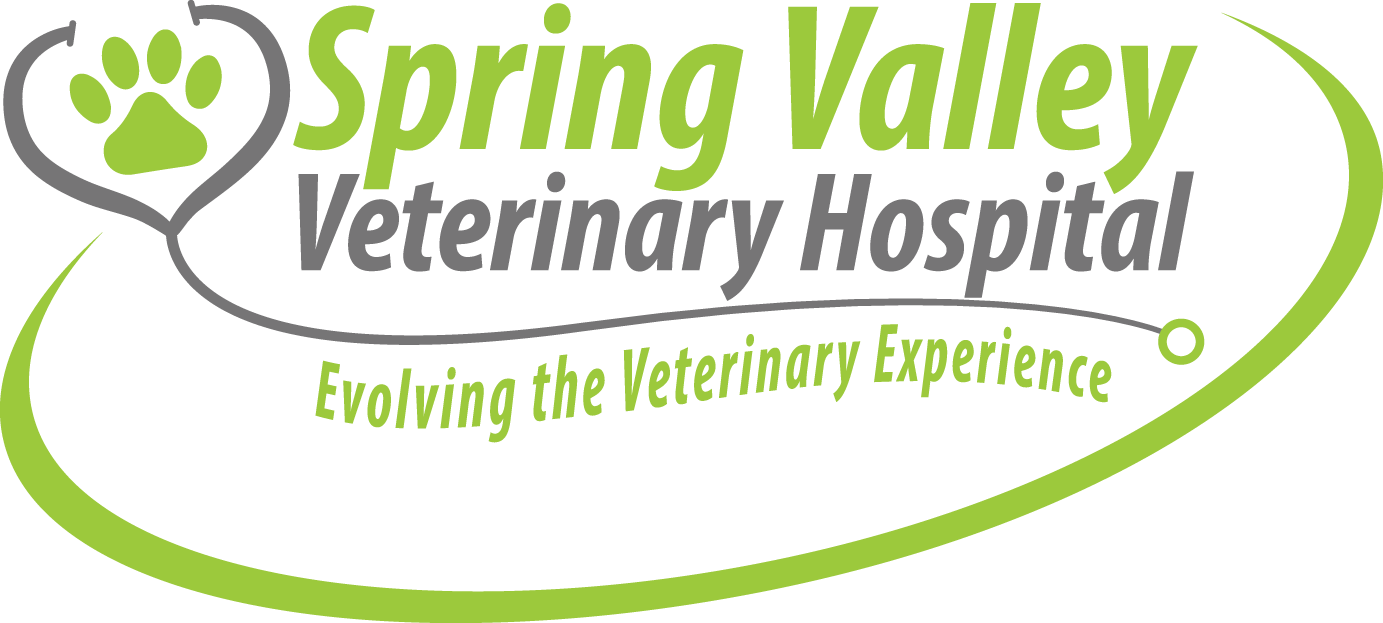 Small Business Spotlight June 2020 Spring Valley Veterinary Hospital