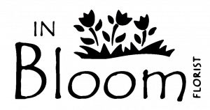 Original Logo_Black_Transparent (1) Original Logo_Black_Transparent (1)