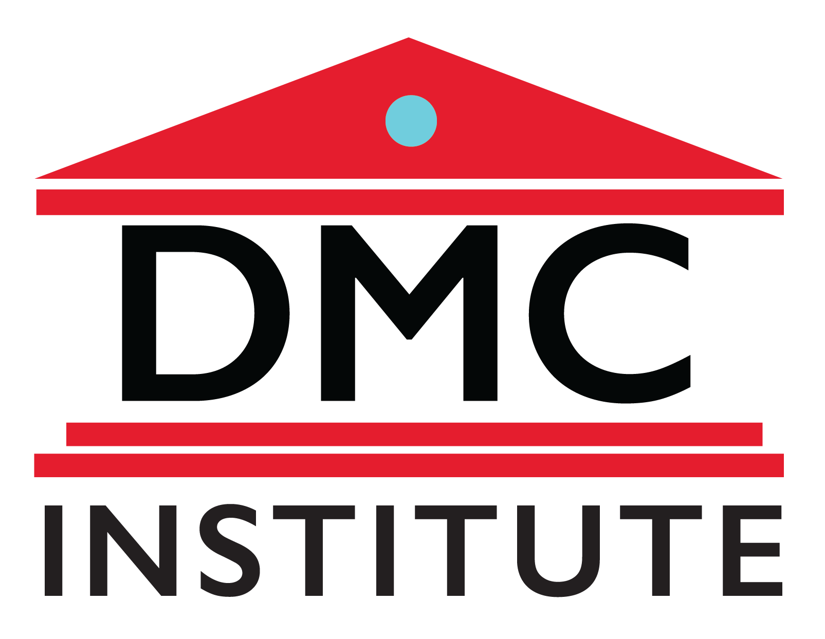 DMC Institute Logo