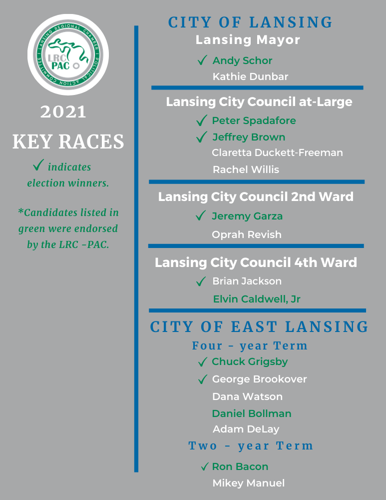 Blue and White Voter Education Flyers (1) Blue and White Voter Education Flyers (1)