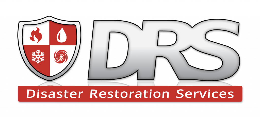 DRS-Logo-w-Shadow-Reflection-2000x900
