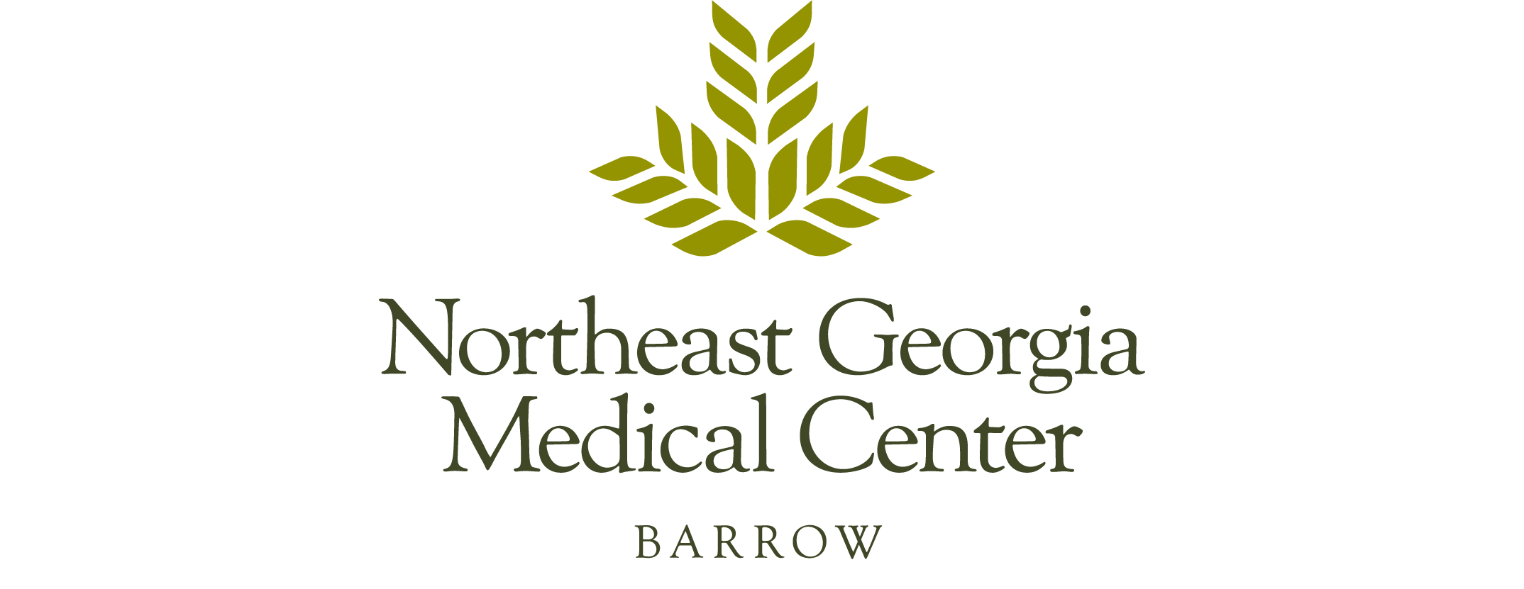 Northeast Georgia Healthcare