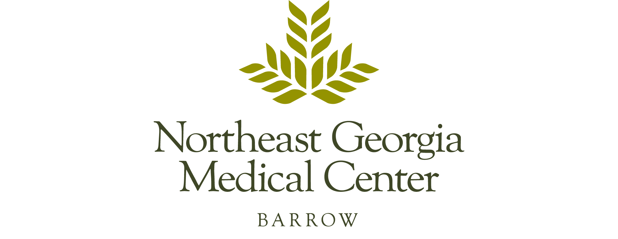 NGMC_Barrow_logo_Stack[14]