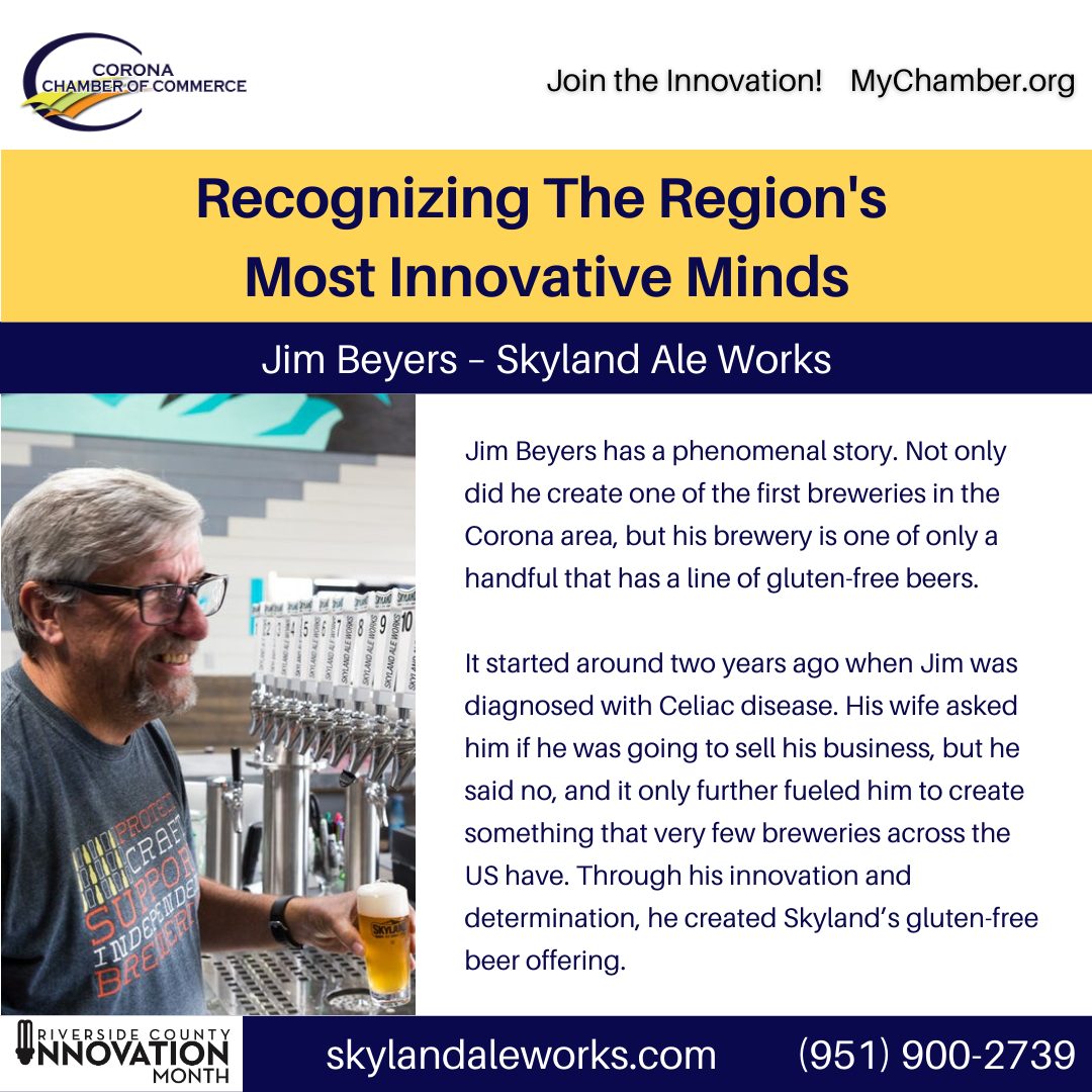 Innovation Month Innovators 3 Skyland