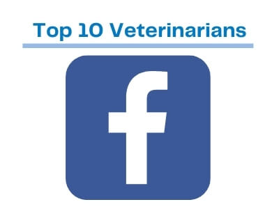 Best Veterinarians in Gresham Area