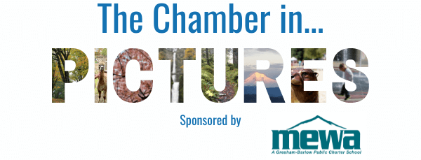 The Chamber in Pictures Logo