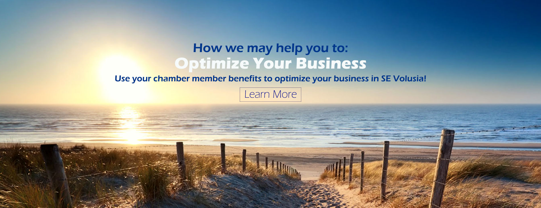 Optimize Your Business Slide