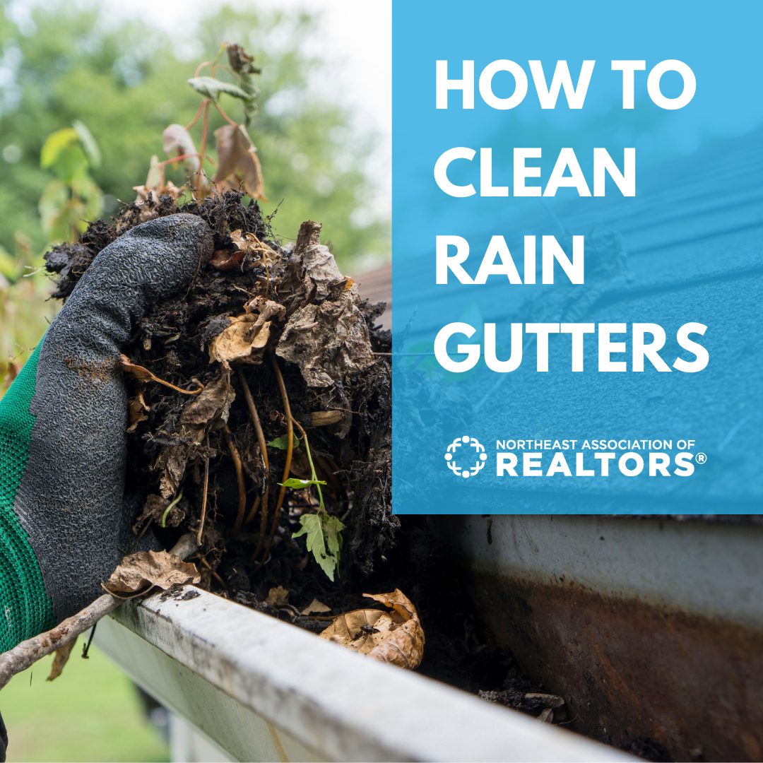 Gloved hand pulling leaf debris from rain gutter