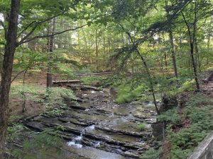 Waterfalls in a lush green forest at Five Rivers Environmental Center