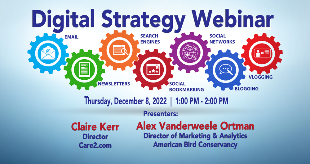 DMAW-Dec-8-Digital-Strategy-Webinar-graphic