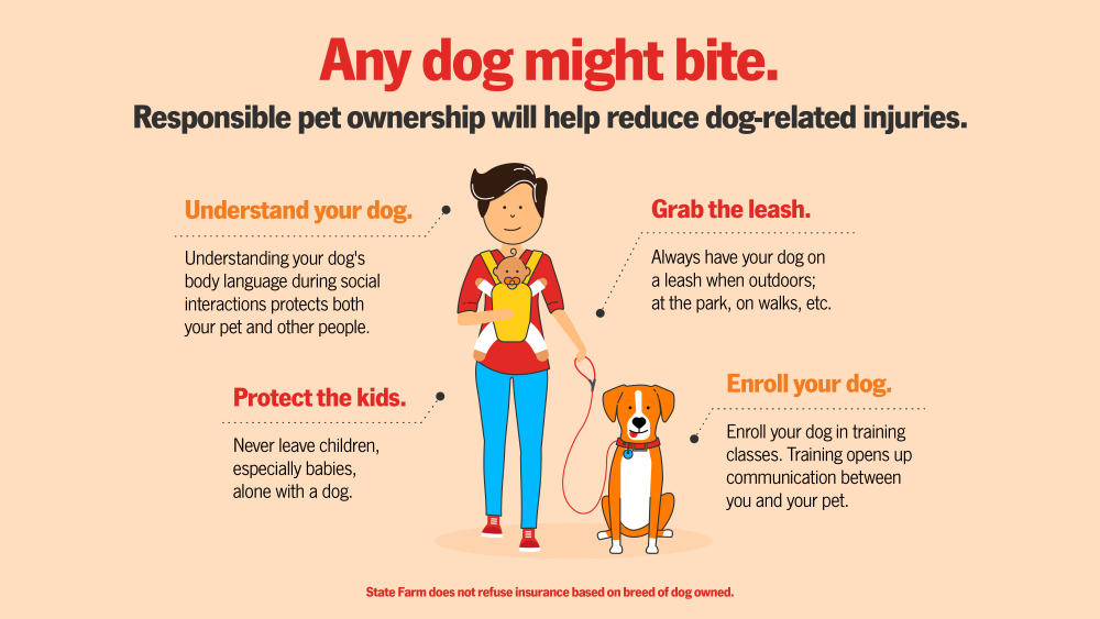 Responsible pet ownership will help reduce dog-related injuries.