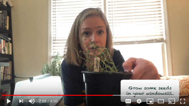 Screenshot of C3 Climate Camp gardening demo video with Andrea