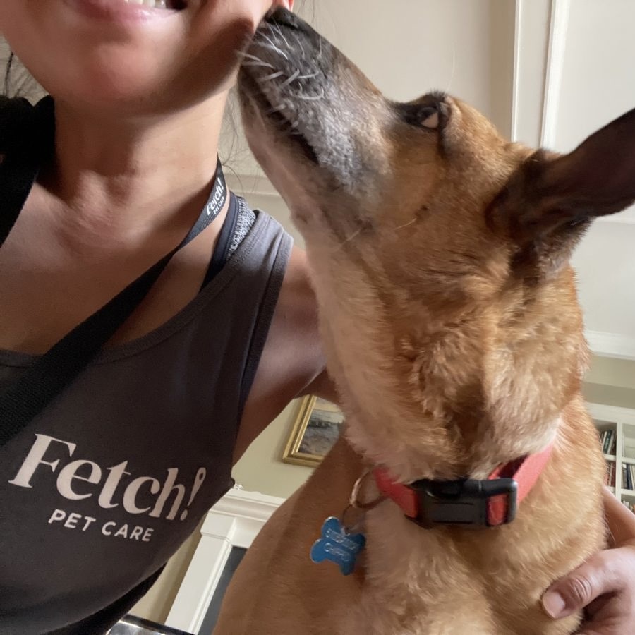 Fetch Pet Care