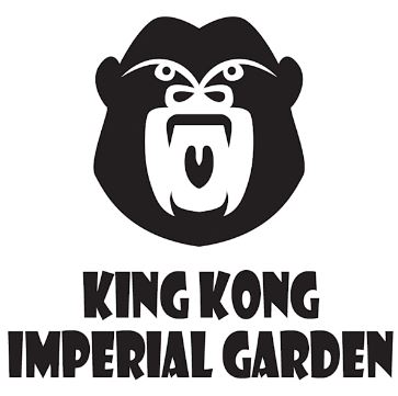 KINKONG