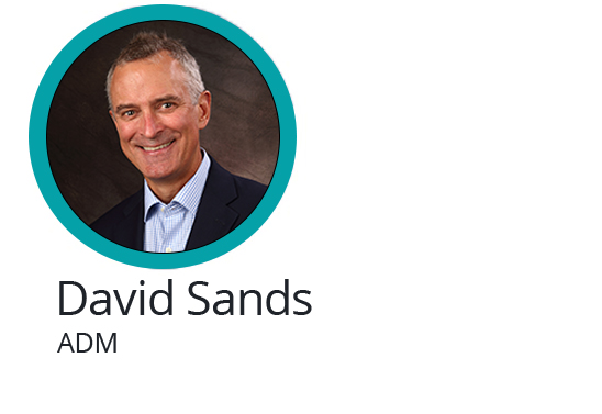 David Sands