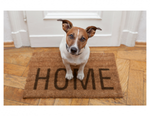 Home picture Home picture