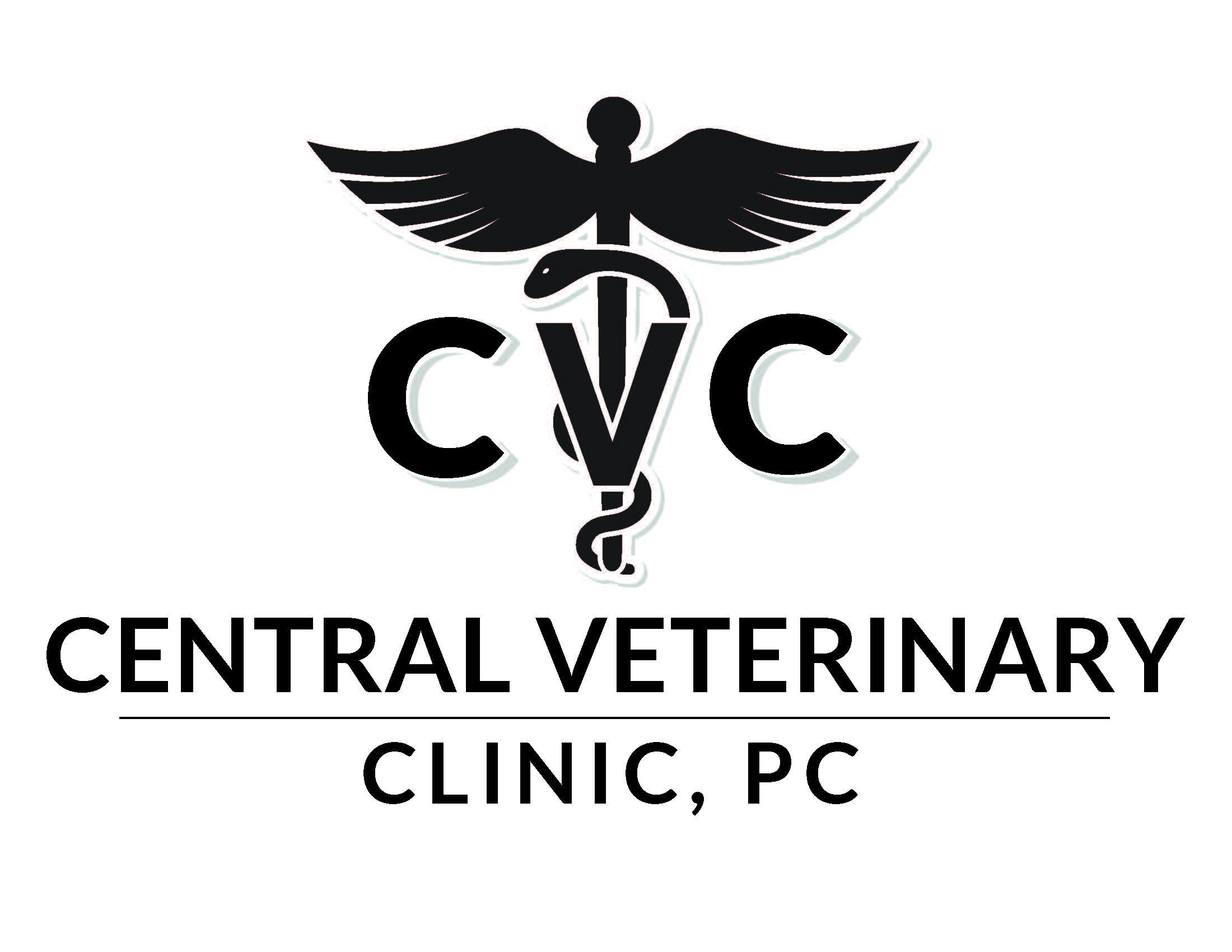 Central Veterinary Clinic