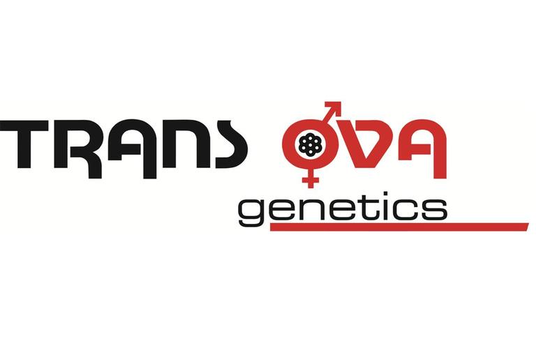 Trans Ova Logo