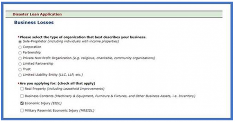 sba loan status