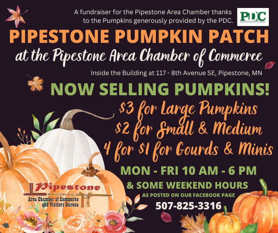 Pipestone Pumpkin Patch at the Chamber Facebook Post 2022 v2