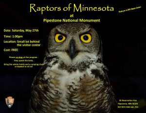 Raptors of MN at PNM