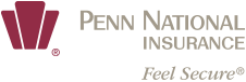 pni-logo pni-logo