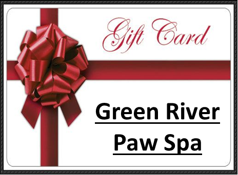 gift card25