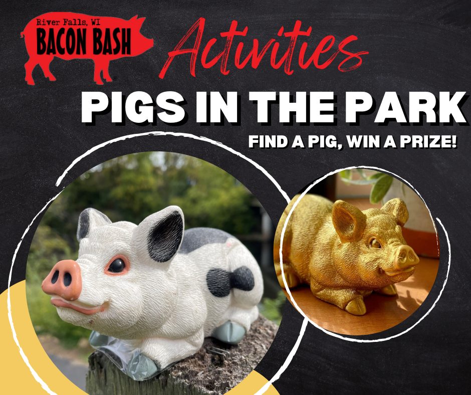 BB - Activities - Pigs in the park (1)