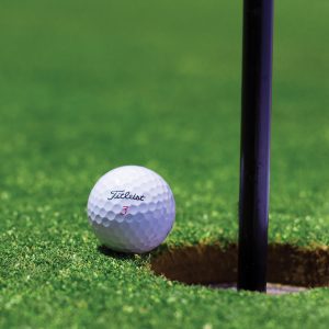 Golf Committee- Square