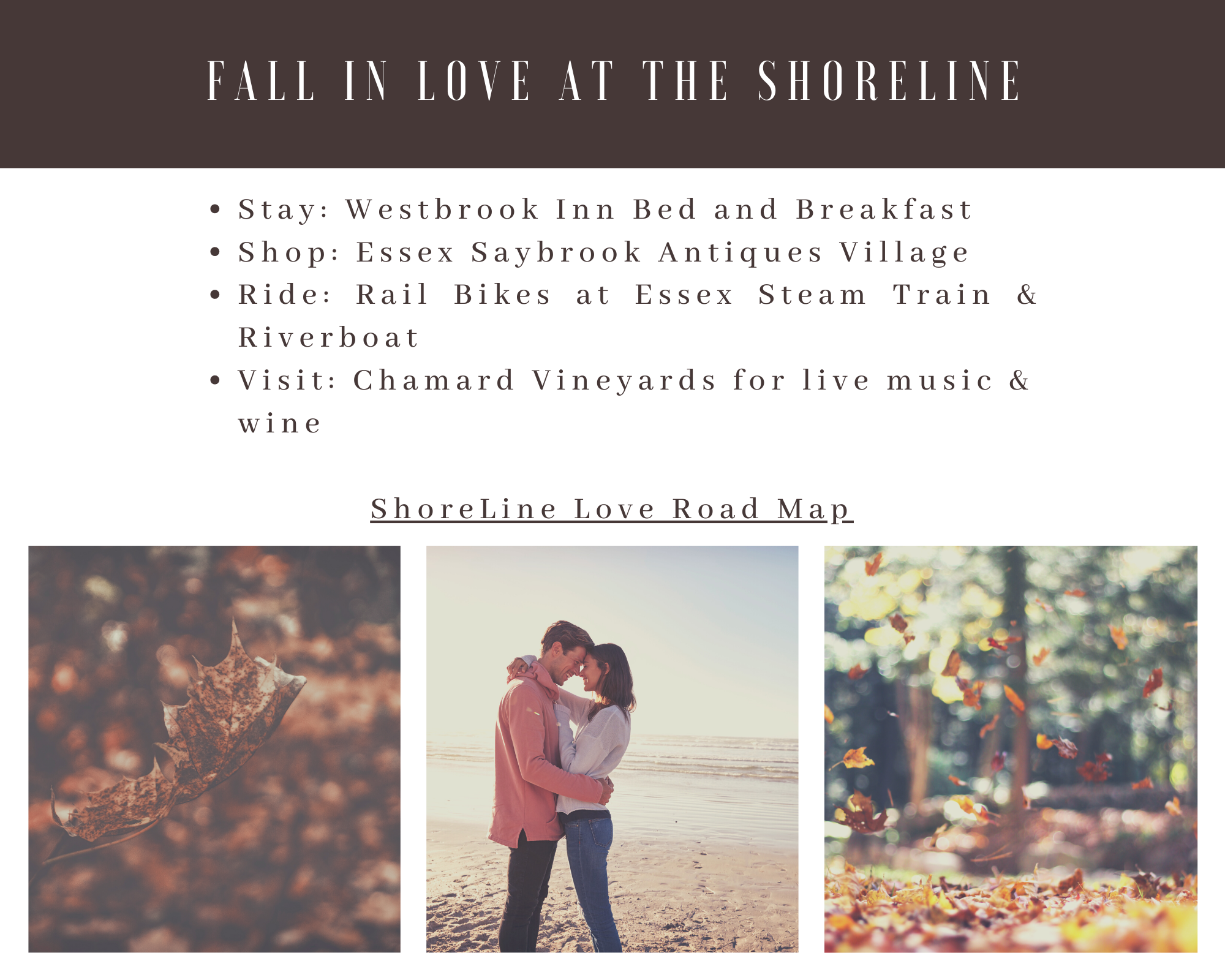 Fall in Love at the Shoreline