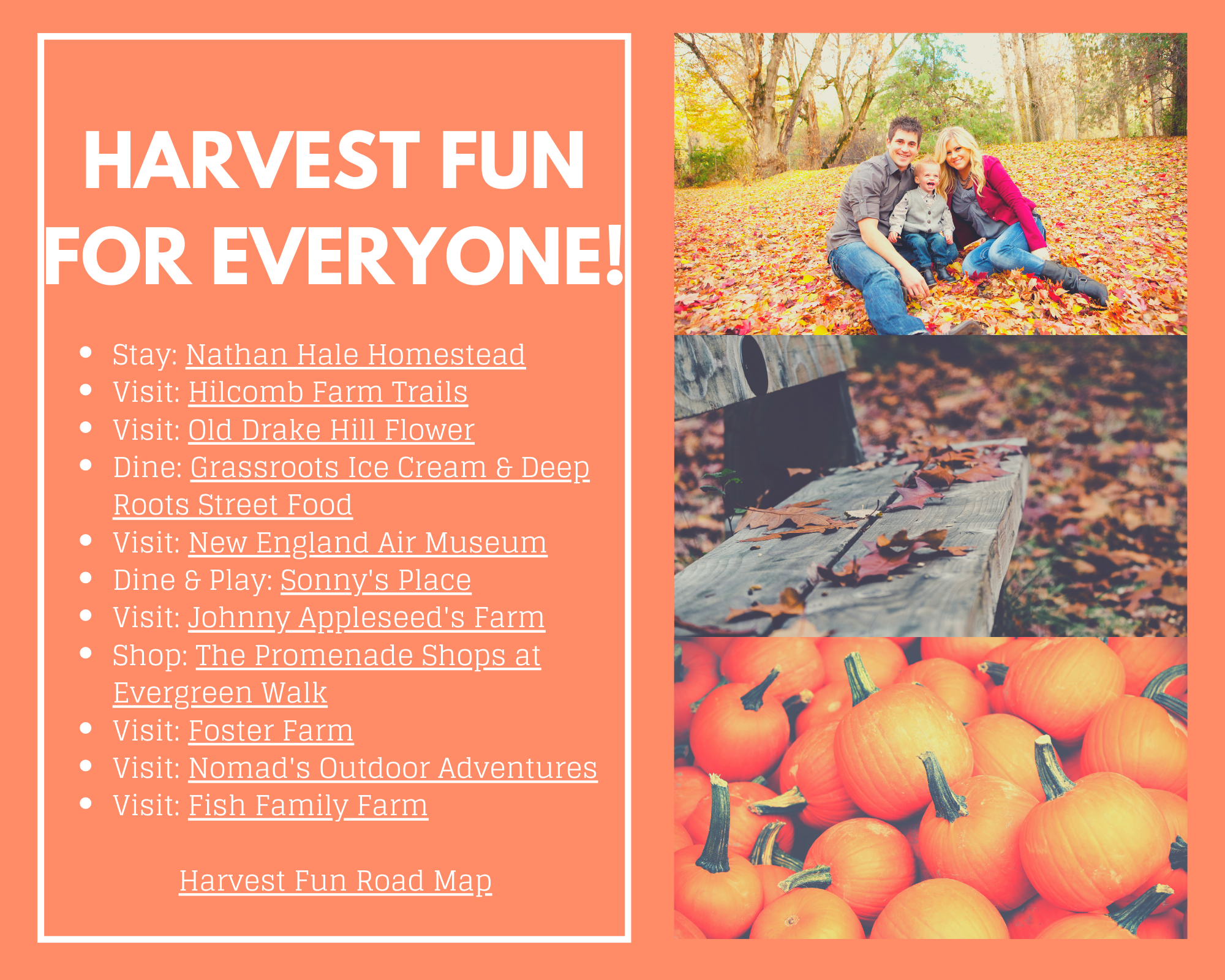 Harvest Fun for Everyone