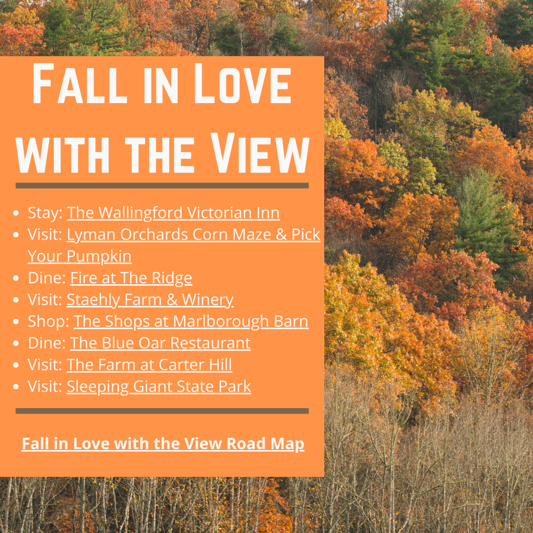 fall in love with the view