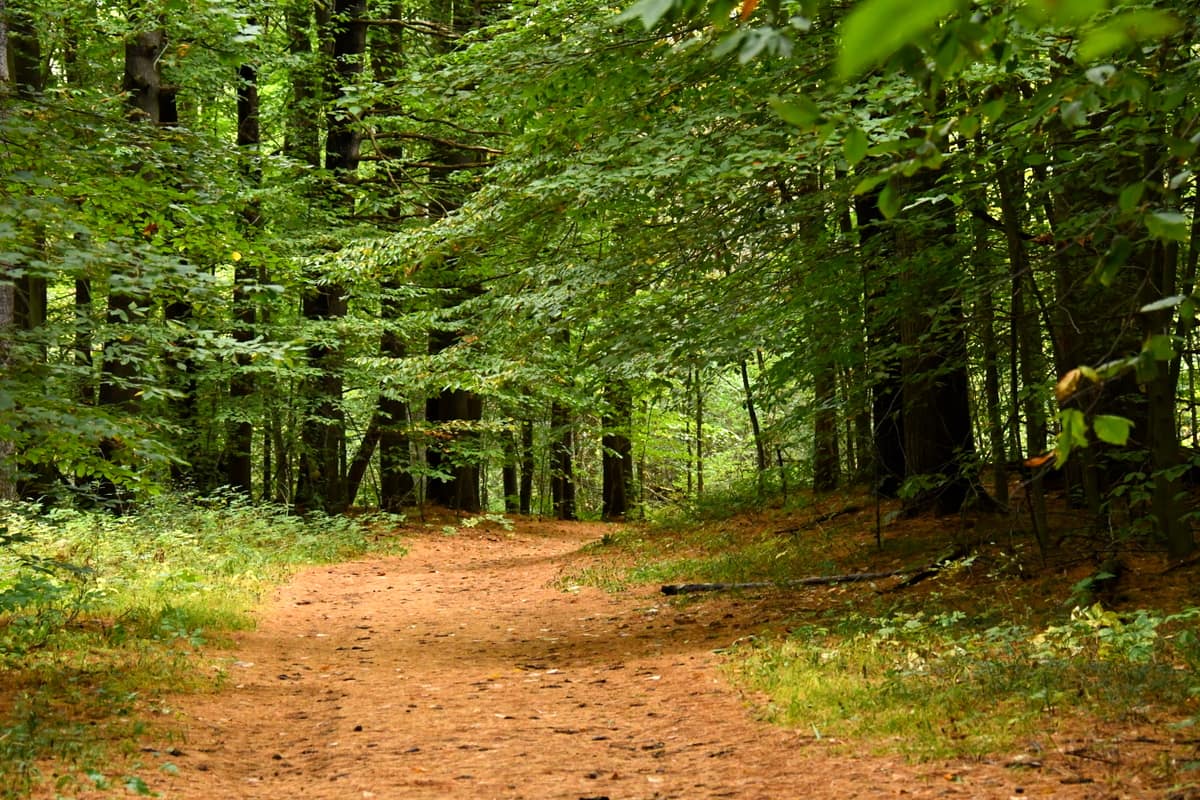 st-lawrence-county-hiking-canton-canoe-trail st-lawrence-county-hiking-canton-canoe-trail