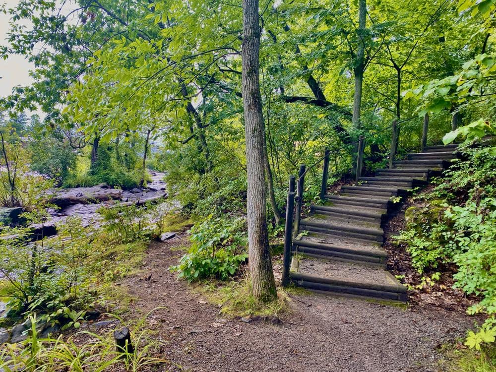 stairs and gravel trail along the cascade falls trail