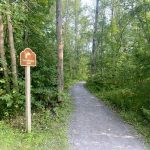 view of the saddlemire trail and trail marker sign