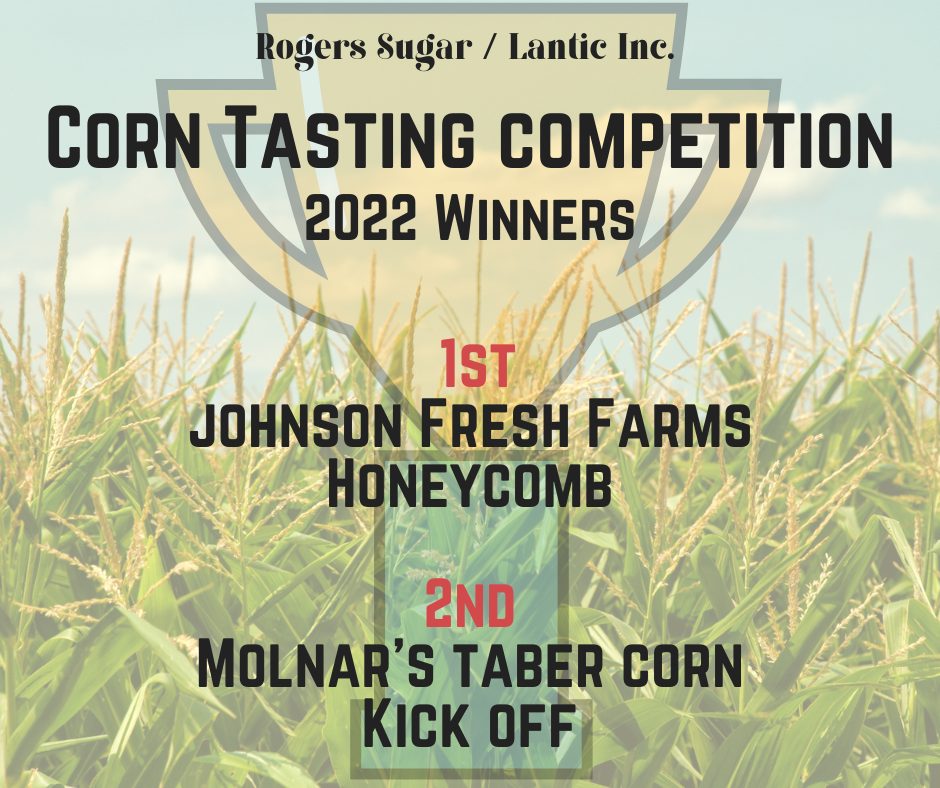 corn tasting winners