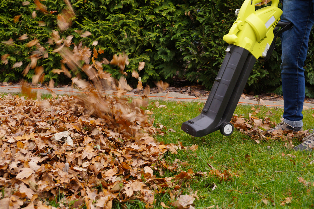 leaf blower