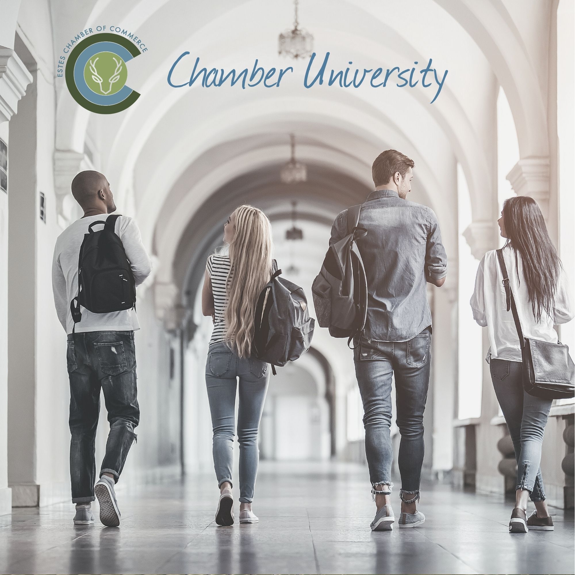 Chamber University Chamber University