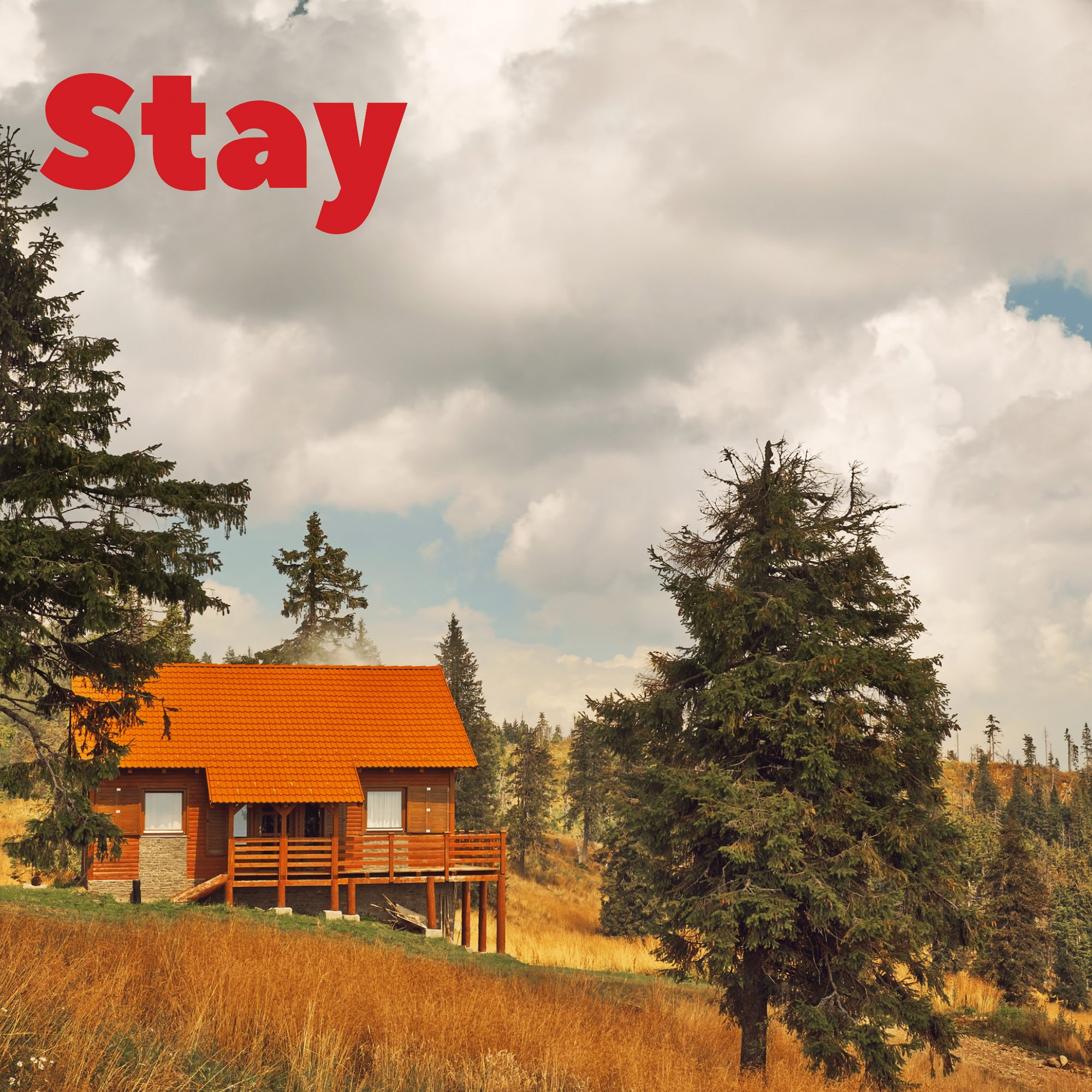 Stay_Summer