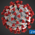 Coronavirus image