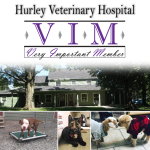 23VIM_HurleyVeterinaryHospital_April2017_gallery